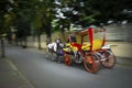 Phaeton Horse Carriage