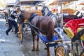 Phaeton Horse Passenger waiting area