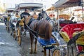 Phaeton Horse Passenger waiting area