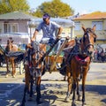 Phaeton Horse Passenger waiting area