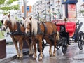 Phaeton of Alsancak Royalty Free Stock Photo