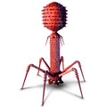Phage and Bacteriopage Royalty Free Stock Photo