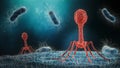 Phage infecting bacterium close-up 3D rendering illustration. Microbiology, medical, bacteriology, biology, science, healthcare,