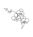 Phalaenopsis flower one line art. Continuous line drawing of plants, herb, flower, blossom, nature, flora, tropical