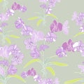 Phalaenopsis orchid seamless background