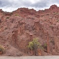 Phallic rock formations in the Valley de los Machos, part of the Quebrada Palmira, near Tupiza, Bolivia Royalty Free Stock Photo