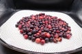 Phalsa