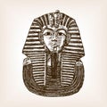 Pharaoh sarcophagus sketch vector illustration Royalty Free Stock Photo