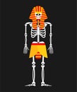 Pharaoh Skeleton isolated. King in ancient Egypt