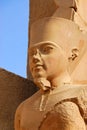 Pharaoh statue in Karnak Royalty Free Stock Photo