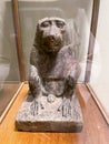 the pharaos monkey at the national museum of egyptian civilization Royalty Free Stock Photo