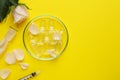 Pharmaceutical ampoules with medication, petals and syringe on yellow background, flat lay. Space for text