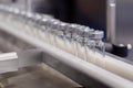 Pharmaceutical production line - conveyor belt with empty injection glass vials