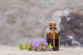 pharmaceutical bottle of medicine from Glechoma hederacea, Nepeta glechoma Benth., Nepeta hederacea, ground-ivy, gill-over-the- Royalty Free Stock Photo