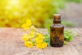 pharmaceutical bottle of medicine from Yellow flowers of Chelidonium majus, celandine, nipplewort, swallowwort or tetterwort on a Royalty Free Stock Photo