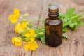 pharmaceutical bottle of medicine from Yellow flowers of Chelidonium majus, celandine, nipplewort, swallowwort or tetterwort on a Royalty Free Stock Photo