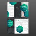Pharmaceutical brochure tri fold template Layout with icons