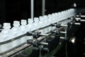Pharmaceutical industry, medicine pills are filling in the plastic bottle on production line machine conveyor at the Royalty Free Stock Photo