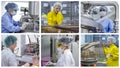 Pharmaceutical Industry Workers - Photo Collage Royalty Free Stock Photo