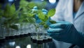 Pharmaceutical scientists study plant growth, connecting biotechnology with agriculture in the lab