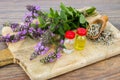 Pharmaceutical tincture, extract of wild herbs, medicinal flowers in medical bottles Royalty Free Stock Photo