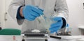 Pharmacist preparing a medicine in capsules using a capsule making machine Royalty Free Stock Photo