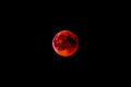 Phase of the Lunar Eclipse 2018 Blood Moon Royalty Free Stock Photo