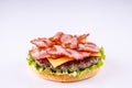 Phased assembly of a hamburger on a light background45