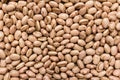 Pinto Bean legume. Closeup of grains, background use.