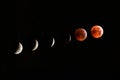 Phases of lunar eclipse with Red Moon or Blood Moon Royalty Free Stock Photo