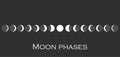 The phases of the moon. The whole cycle from new moon to full. Vector