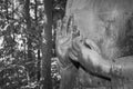 Black and White Hand of Buddha Statue on Forest Background