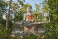 Front Meditation Buddha Statue in Forest