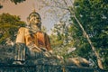 Low Angle Front Right Meditation Buddha Statue in Forest in Vintage Tone