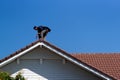 Phayao,Thailand, Feb,7,2022:tile roofing contractor Seal the roof leaks with silicone sealant