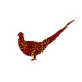 Pheasant bird spiral pattern color silhouette animal