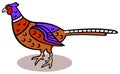 Pheasant