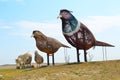 Pheasant family, Enchanted highway.