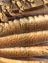 Pheasant feathers as an abstract background. Texture Royalty Free Stock Photo