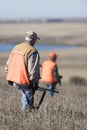 Pheasant hunter in field in North Dakota Royalty Free Stock Photo