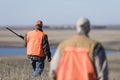 Pheasant hunter in field in North Dakota Royalty Free Stock Photo