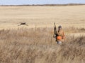 Pheasant Hunting Royalty Free Stock Photo