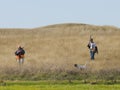 Pheasant Hunting Royalty Free Stock Photo