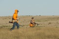 Pheasant Hunting Royalty Free Stock Photo