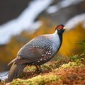 pheasant-like bird animal, AI generated Royalty Free Stock Photo