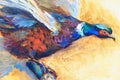 Pheasant oil painting, impressionism painting, for background