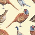 Pheasant partridge bird feathers watercolor hand drawn illustration. Print textile vintage patern seamless Royalty Free Stock Photo