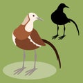 Pheasant tailed jacana bird vector illustration flat style black silhouette