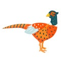 Pheasant vector illustration