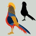 Pheasant vector illustration flat style profile side silhouette